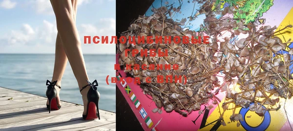 мдма Каменногорск