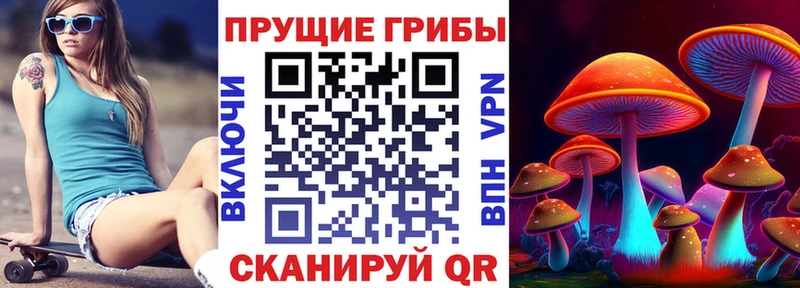 Галлюциногенные грибы мицелий  Купить где  Вытегра 