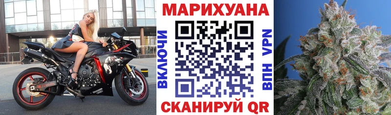 Марихуана семена  Купить закладки  Вытегра 